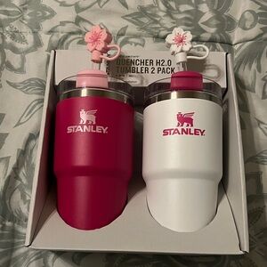 Target Exclusive Stanley
20 oz
Pink and White
Never used